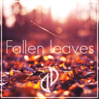 Fallen Leaves (Single)