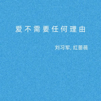 爱不需要任何理由 (对唱版) (Single)