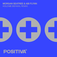 Hold Me (Benwal Remix) (Single)