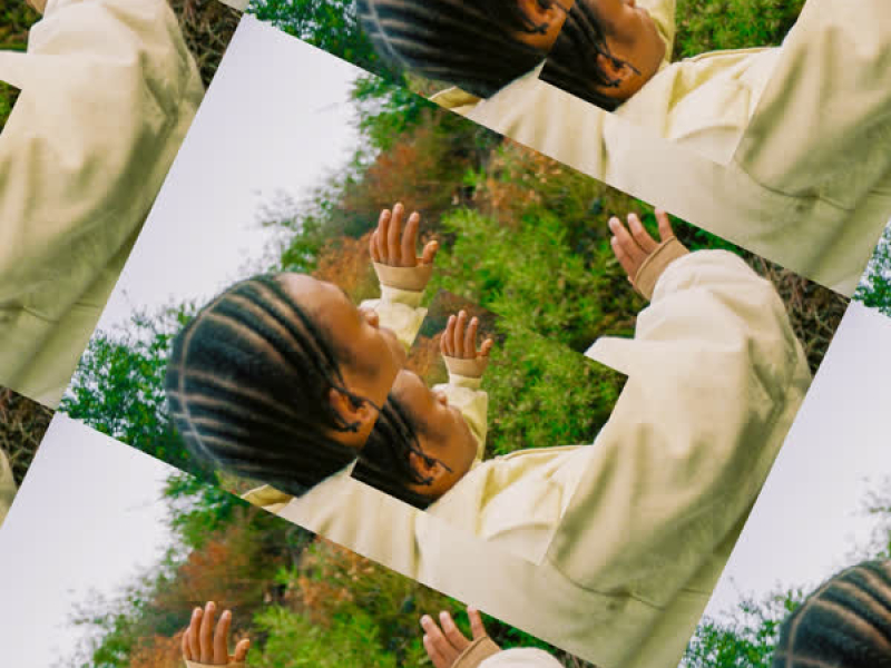 FALLINASPEN (Single)