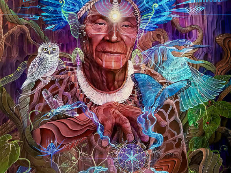 Organic Intelligence (Geometrae Revision) (Single)