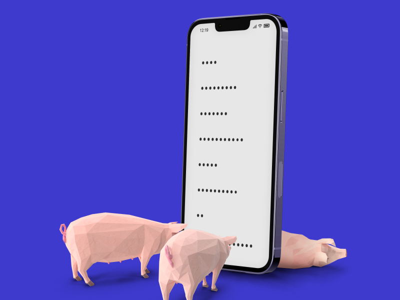 年度专辑 Freestyle (Single)