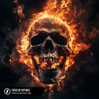 Fired Up (VIP Mix) (Single)