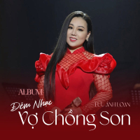 Đêm Nhạc Vợ Chồng Son