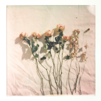 Every Day You Love Me (Single)