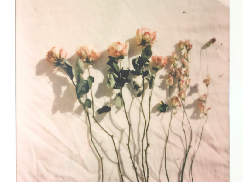 Every Day You Love Me (Single)