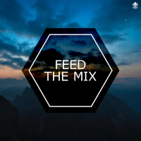 Feed the Mix (Single)