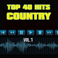 40 Country Hit Songs Vol. 1