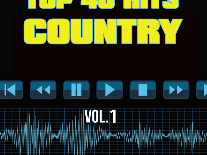 40 Country Hit Songs Vol. 1