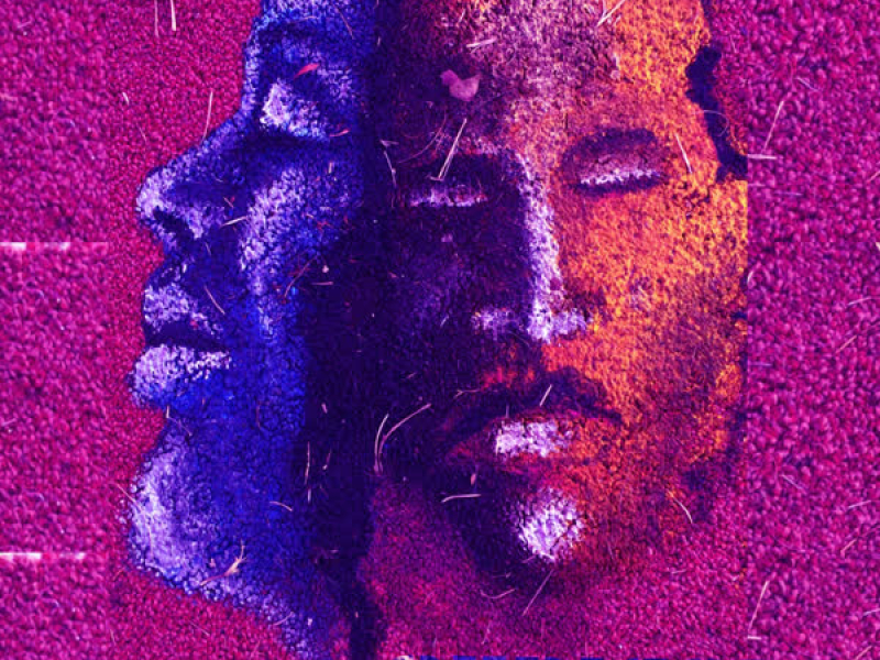 Punk Rock Beezie (Single)