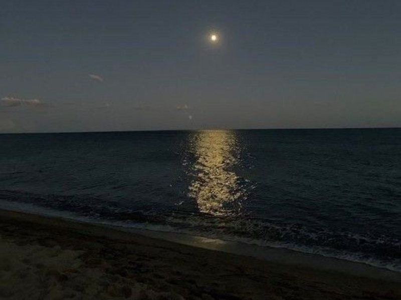 dear bruce, i need to be honest and clear (shortened) (Single)