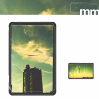 Too Many Fiestas for Rueben / Cowboy Dan (Single)