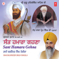 Sant Hamara Gehna Vol-64 (Single)