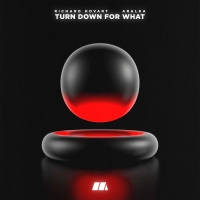 Turn Down For What (Single)
