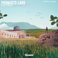 Promised Land (Patrick Lite Remix) (Single)