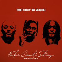 Fake Can't Stay (Remix) (Single)