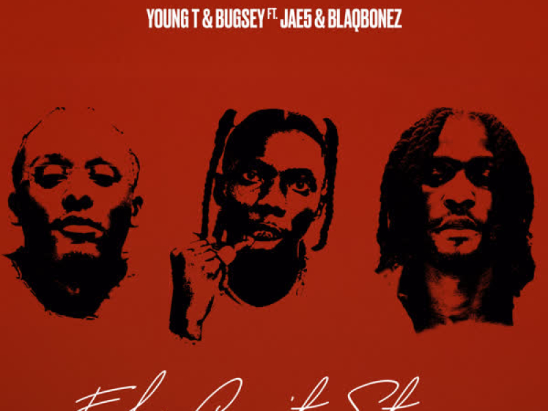 Fake Can't Stay (Remix) (Single)