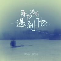 再也没有遇到他 (DJ小拳权版) (Single)