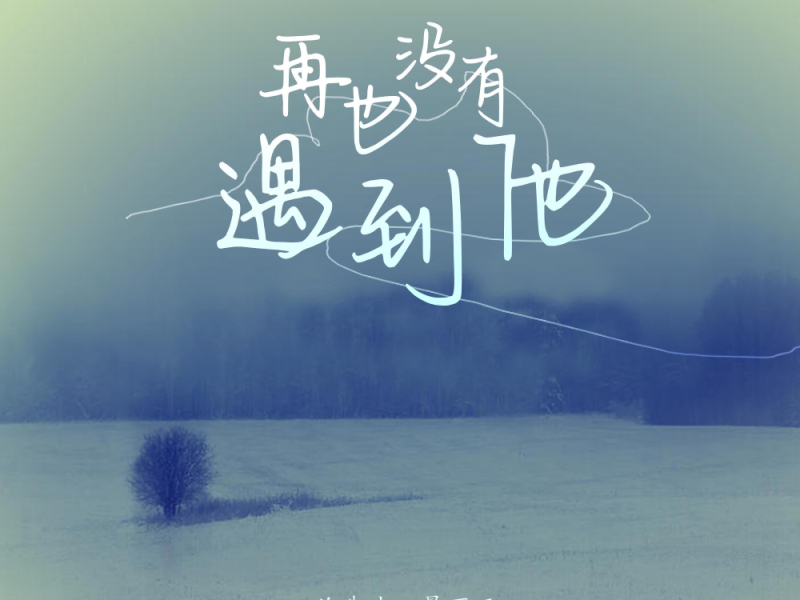 再也没有遇到他 (DJ小拳权版) (Single)