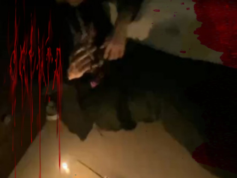 My Soul Yearns for Slaughter (Single)