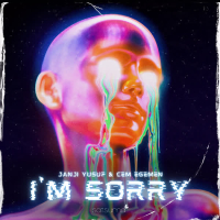 I'm Sorry (Single)