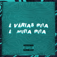É VÁRIAS PUTA É MUITA PUTA (Single)