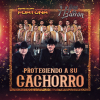 Protegiendo A Su Cachorro (Single)