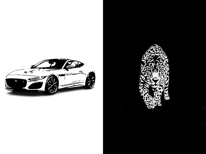 JAGUAR (Single)