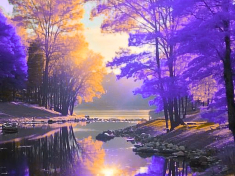 Dawn's Light (Single)