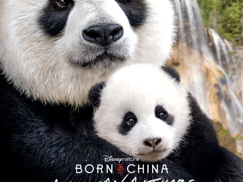 Everything Everything (From 