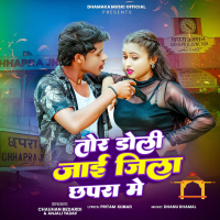 Tor Dholi jaye Jila Chapra Me (Single)