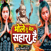 Bhole Tu Mera Sahara Hai (Single)