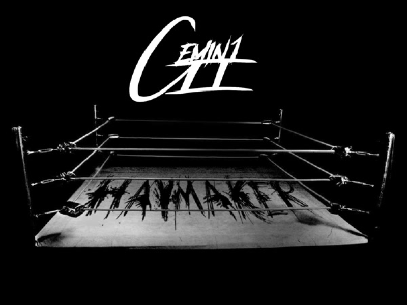 Haymaker (Single)