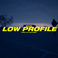 Low Profile (Single)