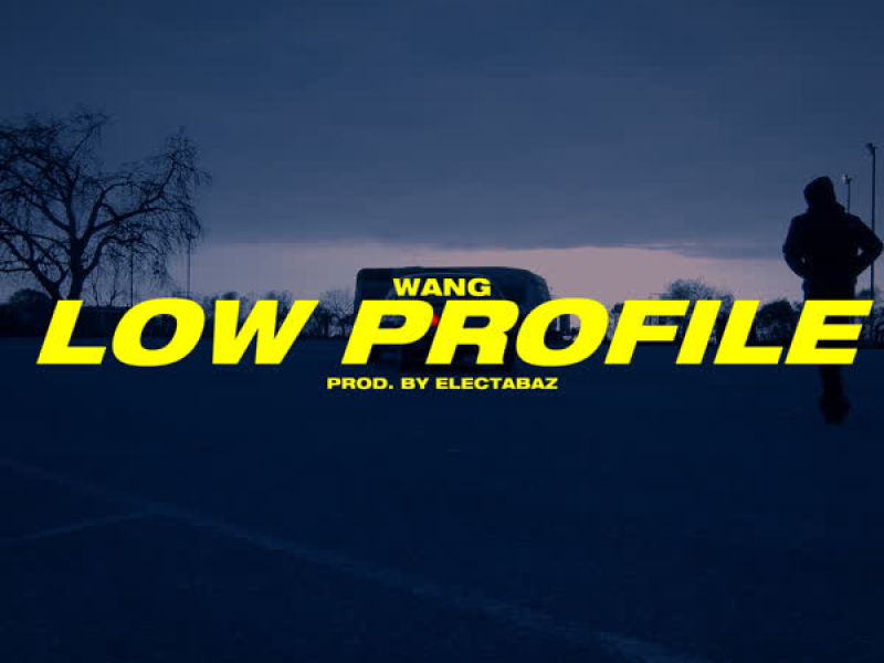 Low Profile (Single)