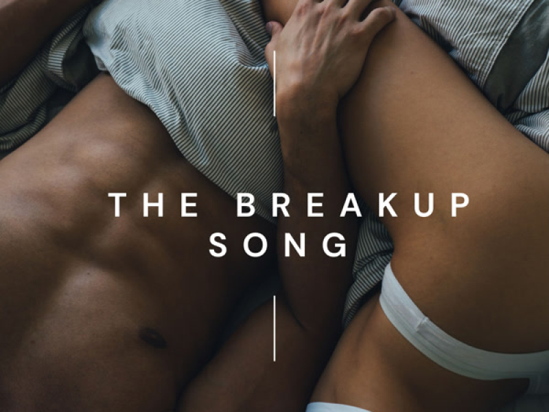 The Breakup Song (Single)