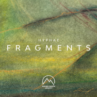 Fragments (Single)