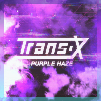 Purple Haze (Single)