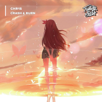 Crash & Burn (Single)