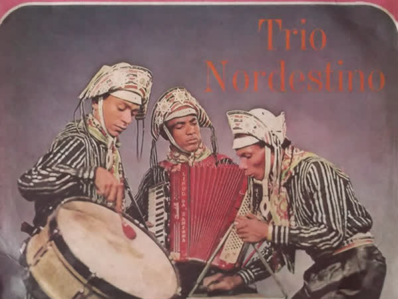 É Forró que Vamos Ter