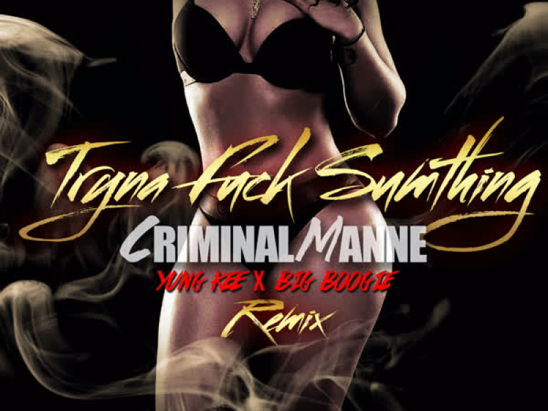 Tryna Fuck Sumthing (Remix) (EP)