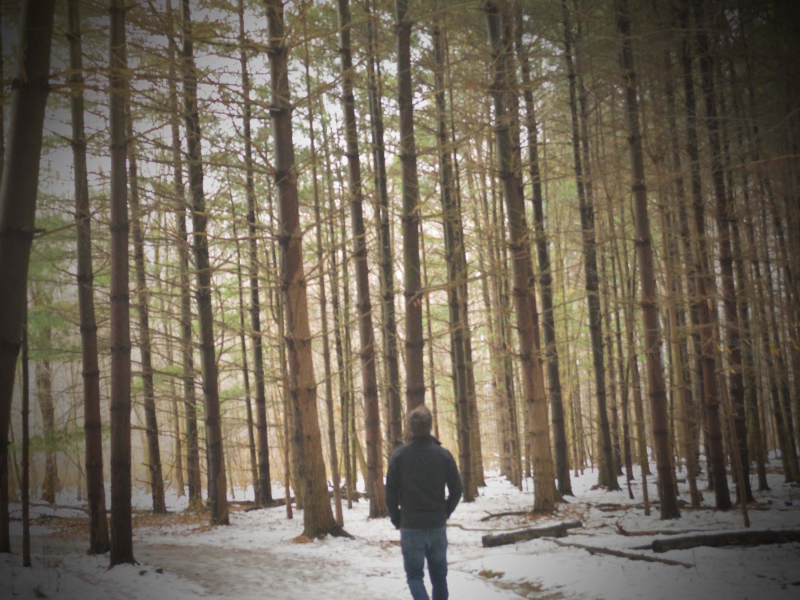 Walk in Forest and Nature Sounds to Soothe Emotions and Clear the Mind (Single)