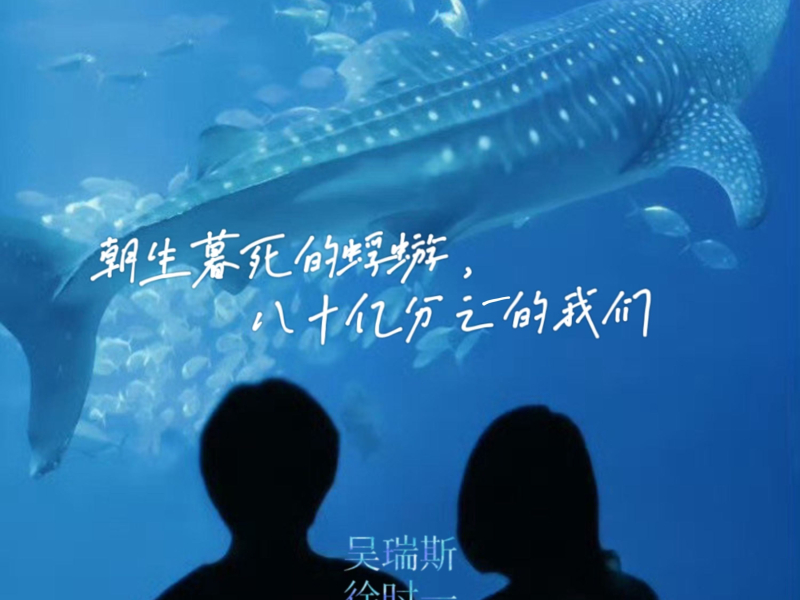 朝生暮死的蜉蝣 八十亿分之一的我们 (Single)