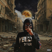 Do Not Disturb (Deluxe Edition) (Single)