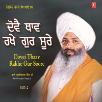 Dovei Thaav Rakhe Gur Soore Vol-2 (Single)