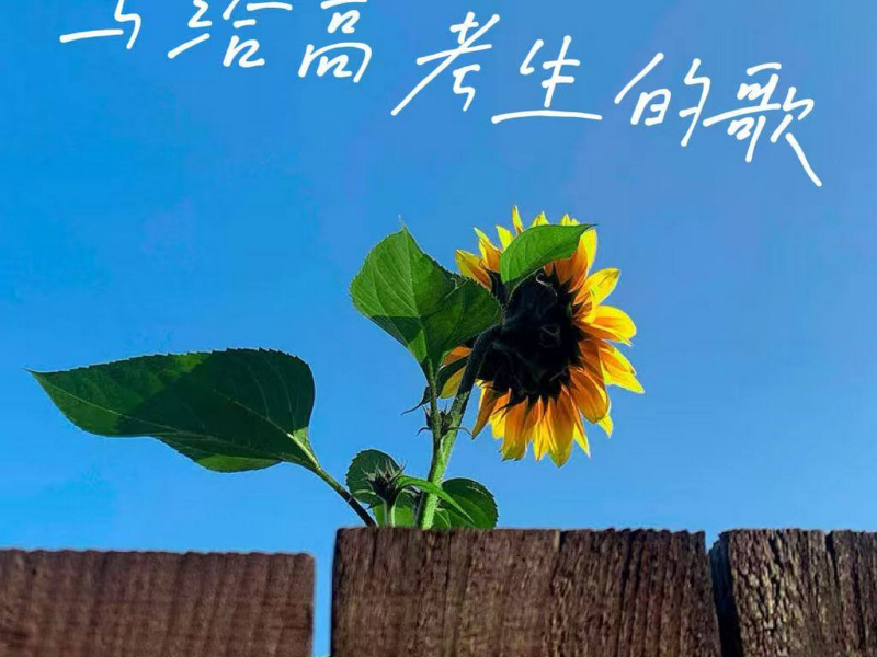 写给高考生的歌 (Single)