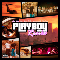 Playboy (Leo Lex Remix) (Single)