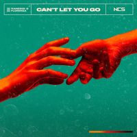 Can't Let You Go (Single)