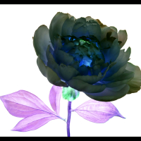 Mirrors (MV) (Single)