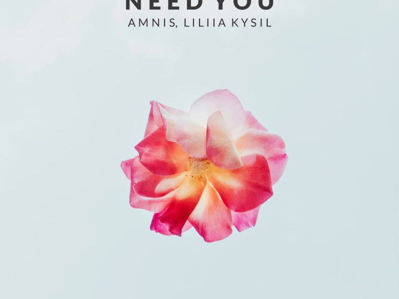 Need You (Single)